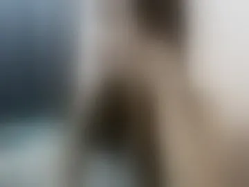 -ly08-