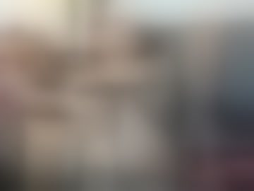 ariaandsusan-