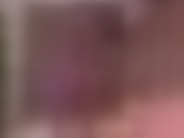 arianaxo-