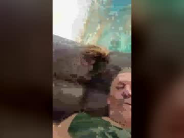 bigdumbstud