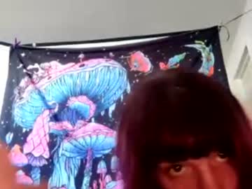 bimbdoll
