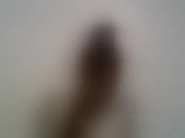 calmfolower