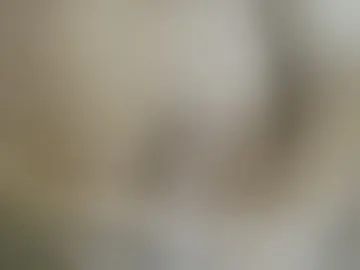 cutemuscledanaconda