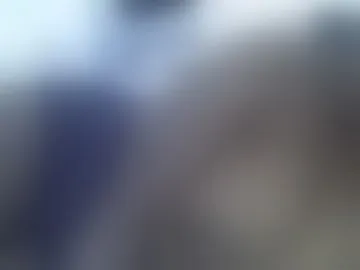 dora-001