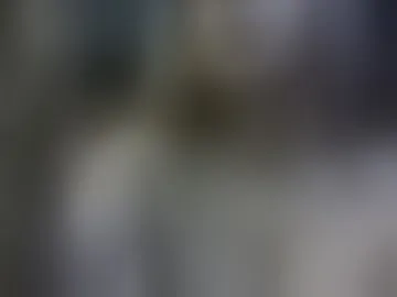 eroticcol2026