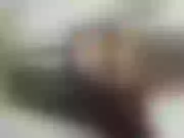 jamielyn23