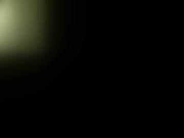 lafleurdenuit