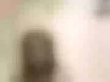 lollytan