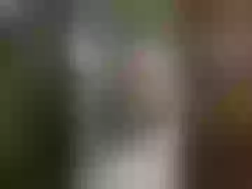 missykriss28