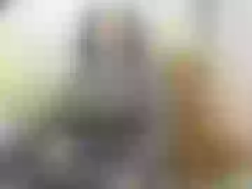 nikoll32-