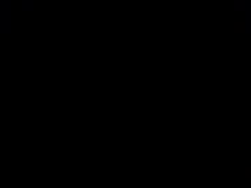 ninjadance