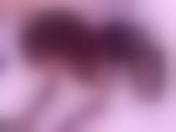 pamelabunny-