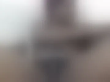 pettite-don