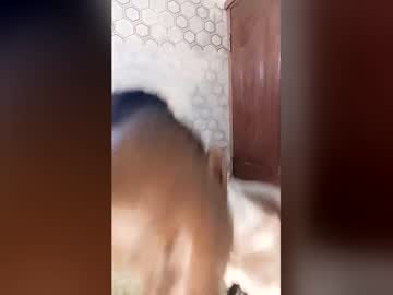 pettitemellany