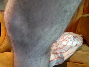 pspee313