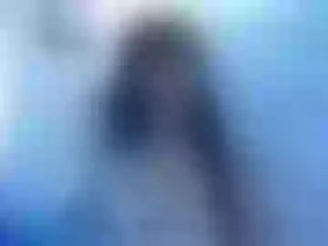 roxywild1