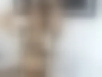 taylin-swun