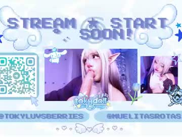 tokydolly