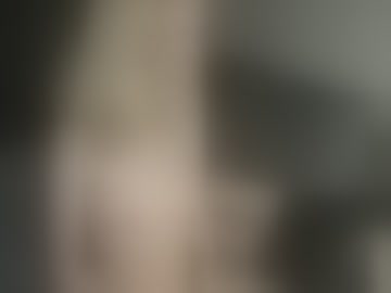 tracefox-